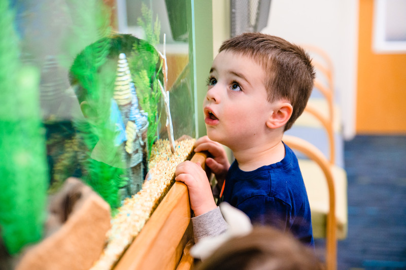 boy staring up at a fishtank